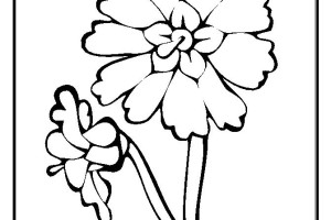 Flowers coloring pages | color printing | Flower | Coloring pages free | #5