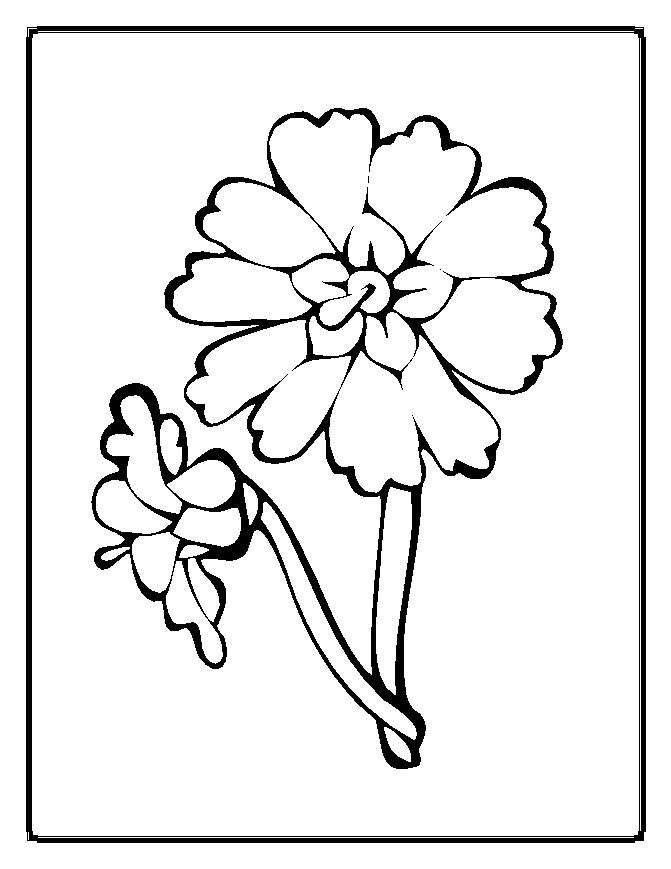  Flowers coloring pages | color printing | Flower | Coloring pages free | #5