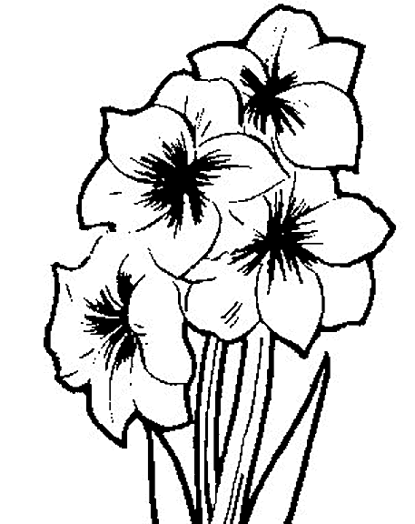 Flowers coloring pages | color printing | Flower | Coloring pages free | #53