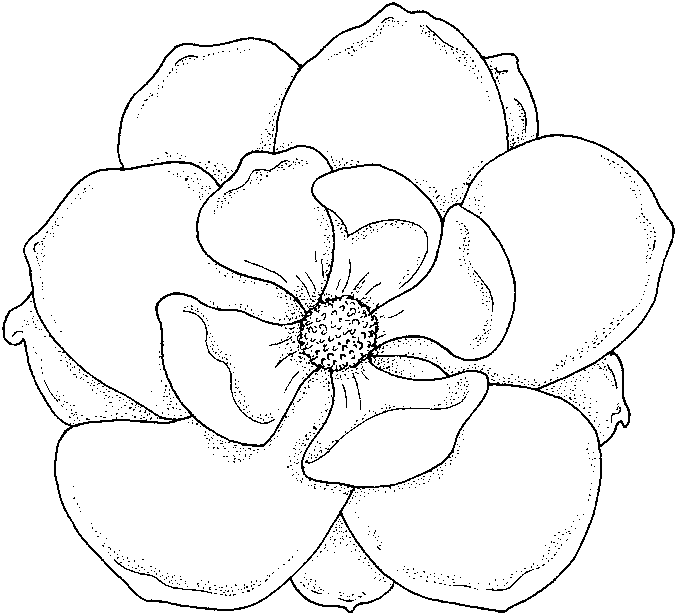  Flowers coloring pages | color printing | Flower | Coloring pages free | #55