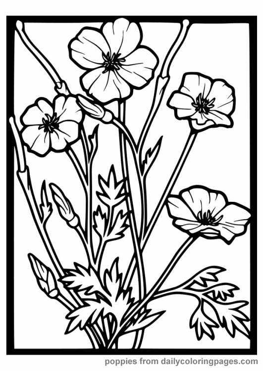  Flowers coloring pages | color printing | Flower | Coloring pages free | #56