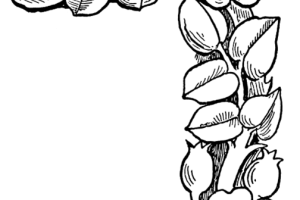 Flowers coloring pages | color printing | Flower | Coloring pages free | #57