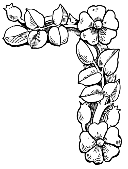  Flowers coloring pages | color printing | Flower | Coloring pages free | #57