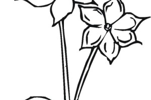 Flowers coloring pages | color printing | Flower | Coloring pages free | #58