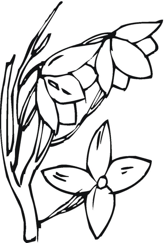  Flowers coloring pages | color printing | Flower | Coloring pages free | #59