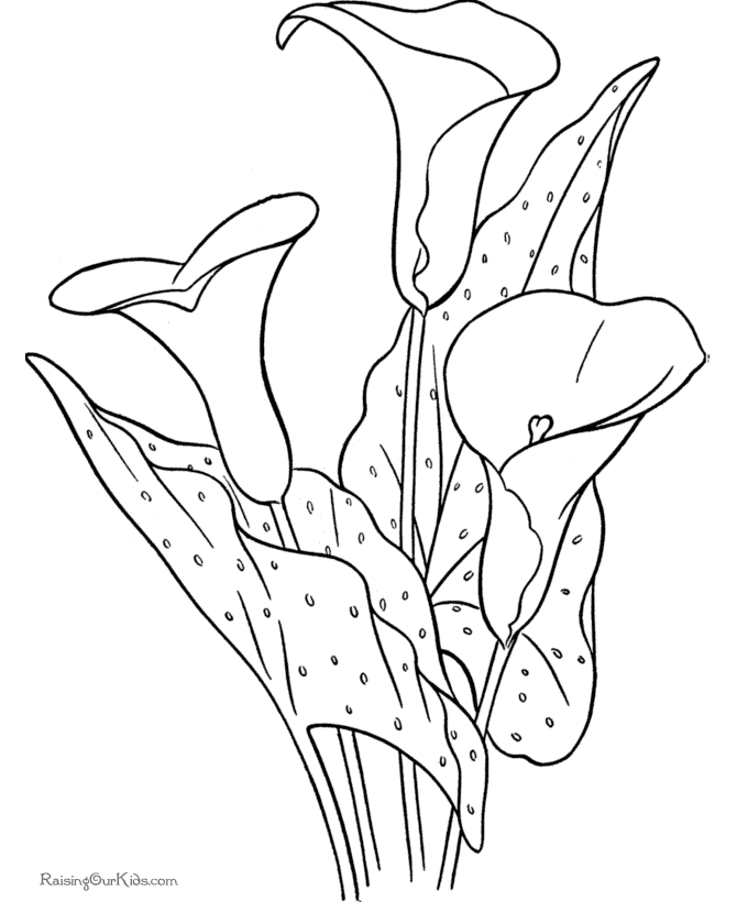 Flowers coloring pages | color printing | Flower | Coloring pages free | #62