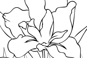 Flowers coloring pages | color printing | Flower | Coloring pages free | #65