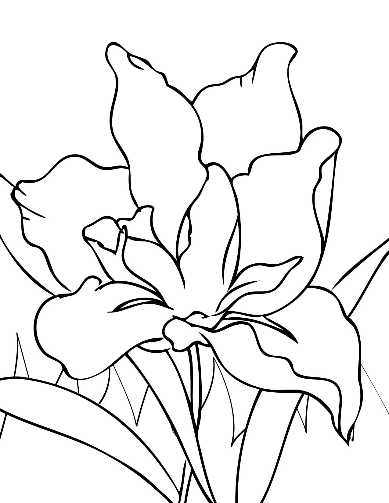  Flowers coloring pages | color printing | Flower | Coloring pages free | #65