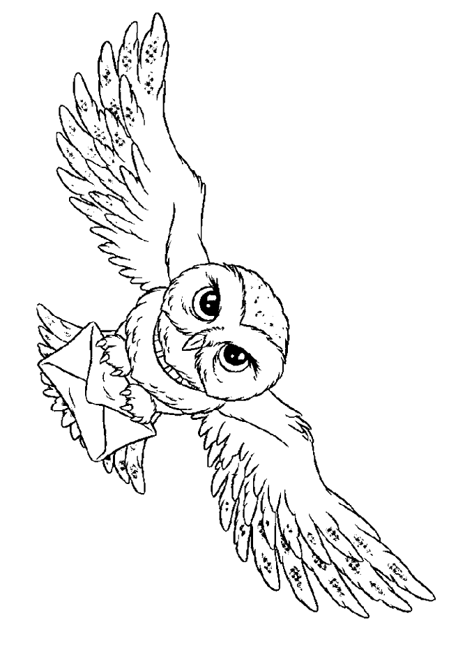 Owl Harry Potter coloring pages | color online