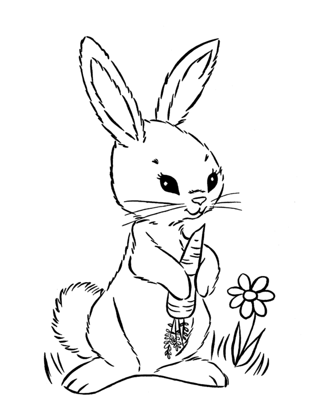 Easter Bunny Coloring pages | easter bunny colouring pages | bunny coloring pages | #3