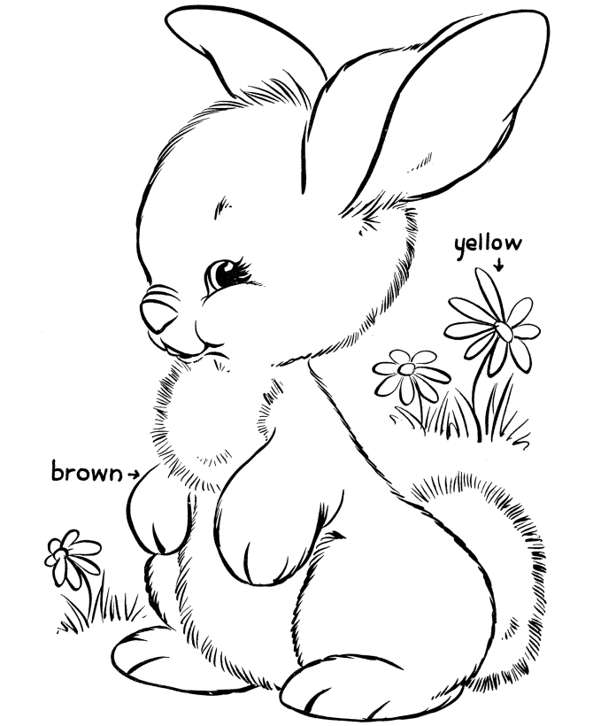Easter Bunny Coloring pages | easter bunny colouring pages | bunny coloring pages | #7