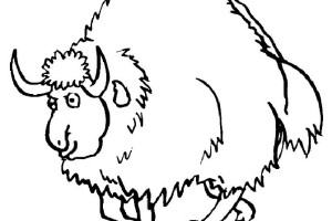 Mink Animal Colouring Pages