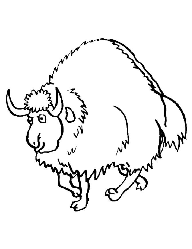  Mink Animal Colouring Pages