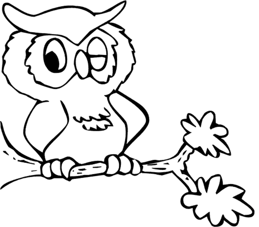 Owl Coloring Pages | Coloring page | #1