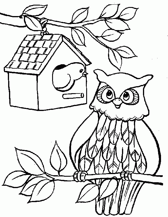 Owl Coloring Pages | Coloring page | #11