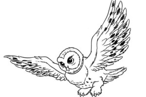 Owl Coloring Pages | Coloring page | #12