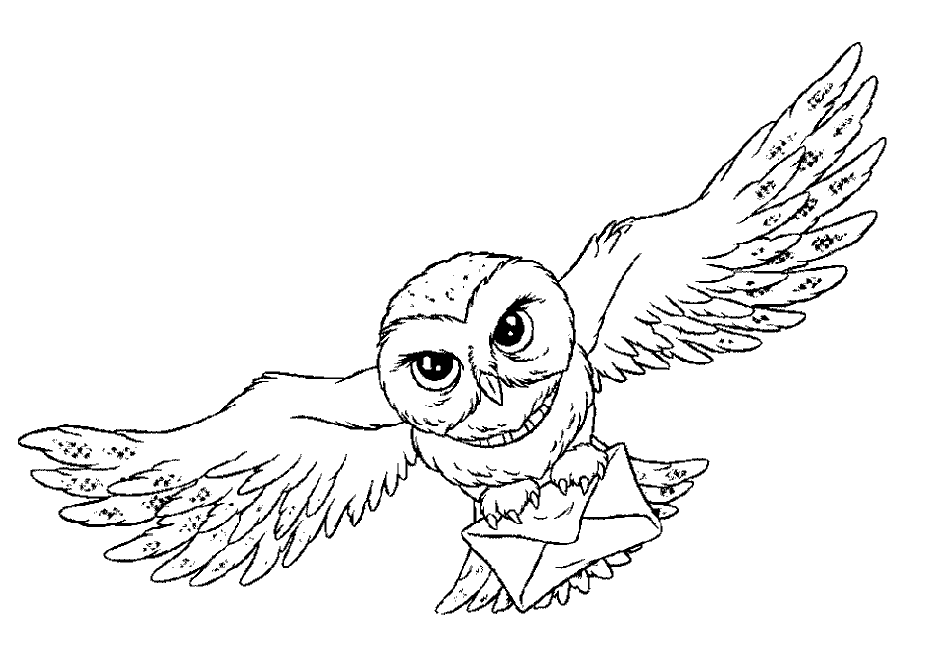 Owl Coloring Pages | Coloring page | #13