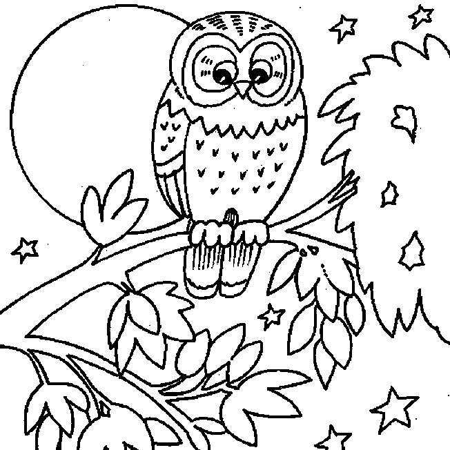 Owl Coloring Pages | Coloring page | #16