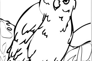 Owl Coloring Pages | Coloring page | #17