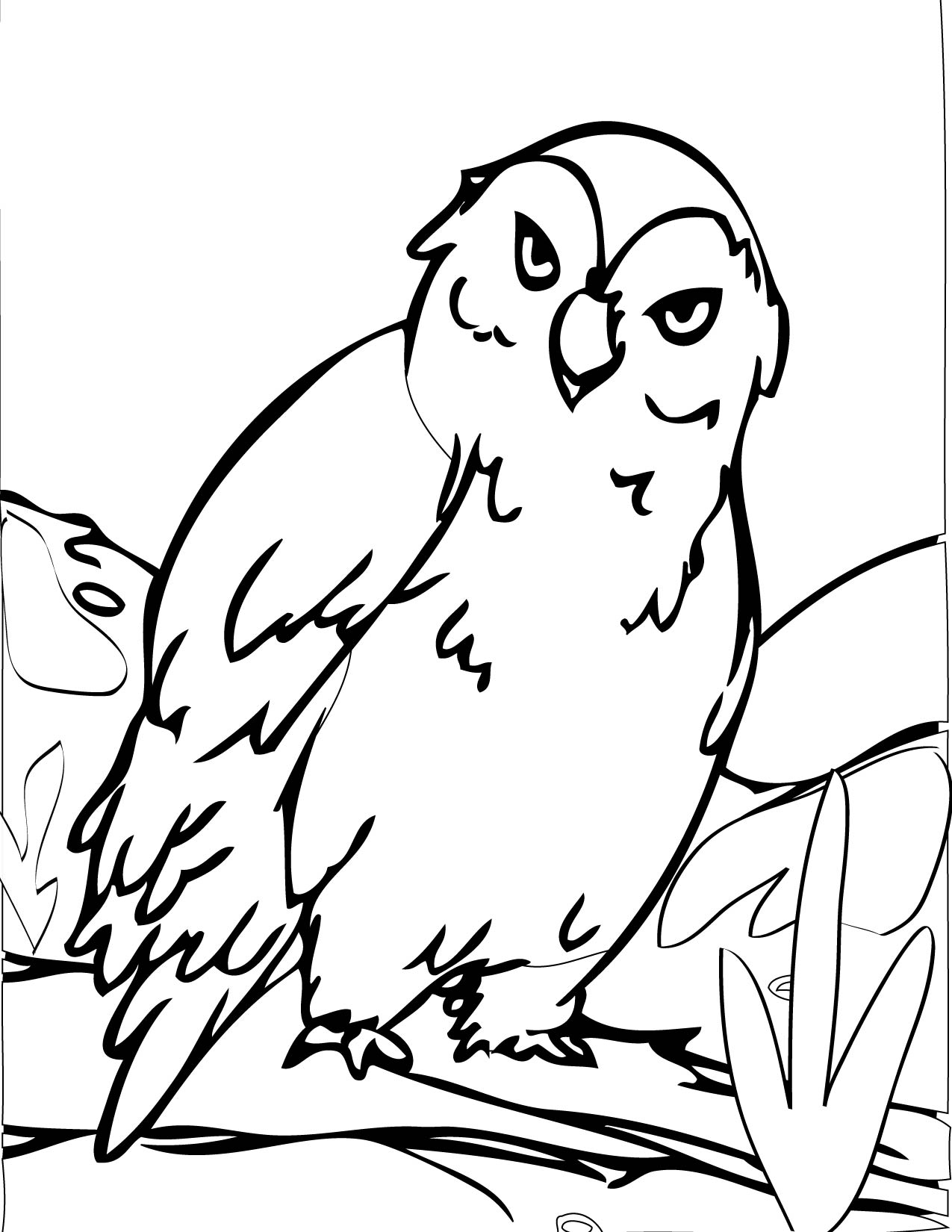  Owl Coloring Pages | Coloring page | #17