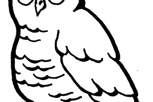 Owl Coloring Pages | Coloring page | #18