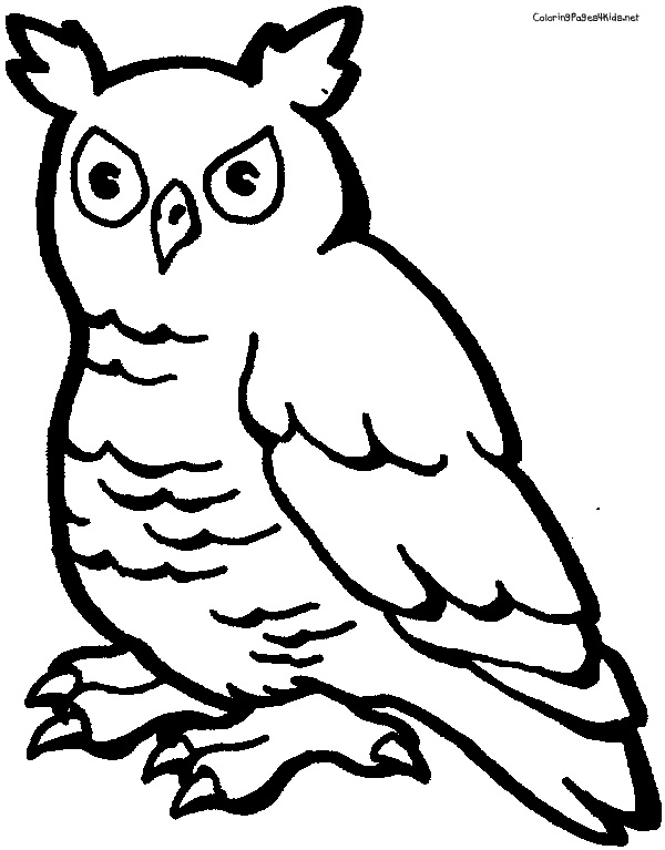  Owl Coloring Pages | Coloring page | #18