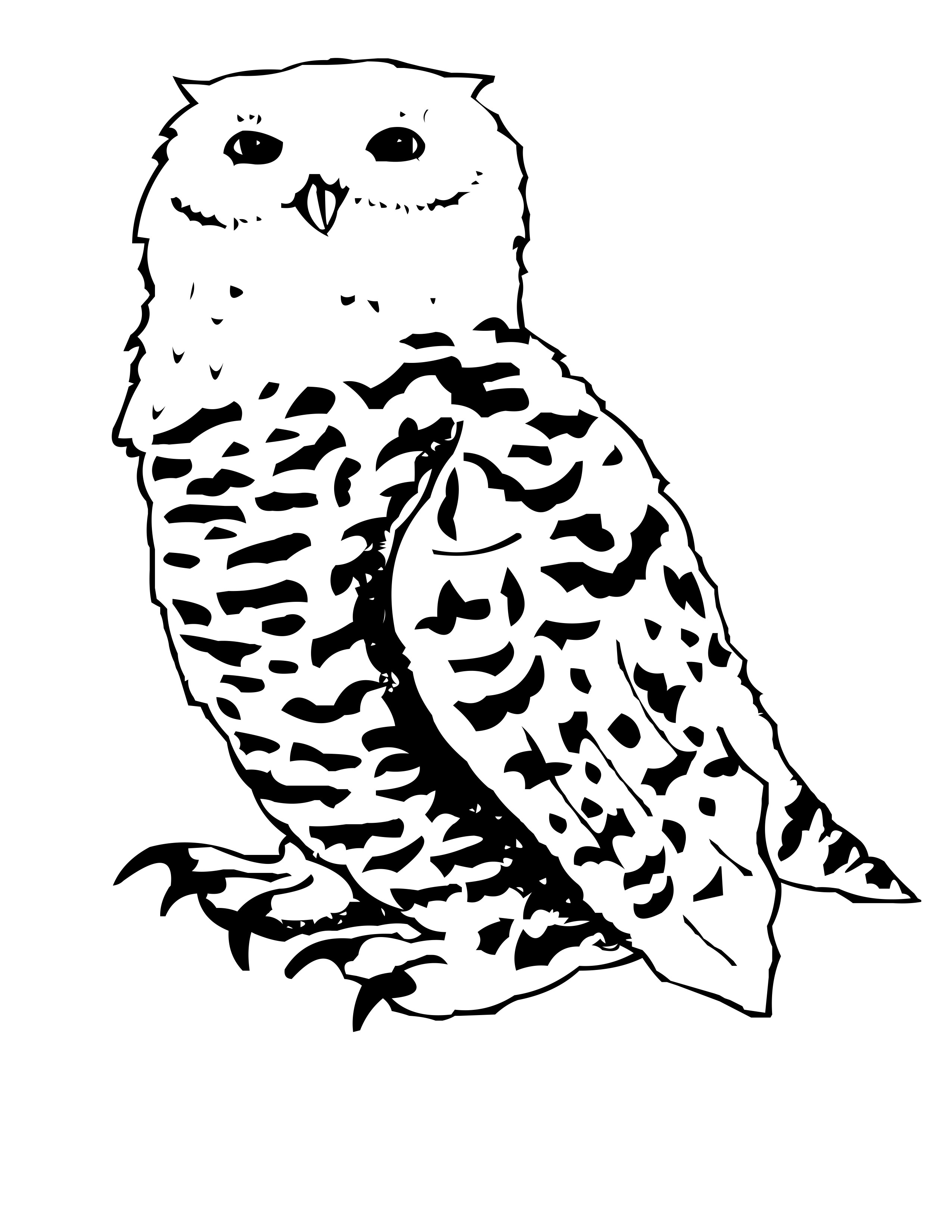  Owl Coloring Pages | Coloring page | #19