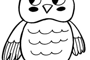 Owl Coloring Pages | Coloring page | #23