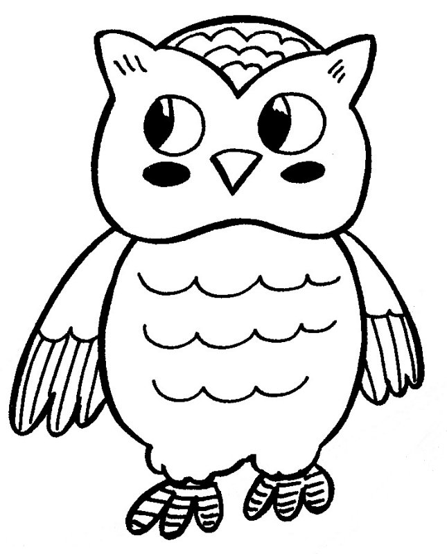  Owl Coloring Pages | Coloring page | #23