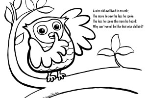 Owl Coloring Pages | Coloring page | #24
