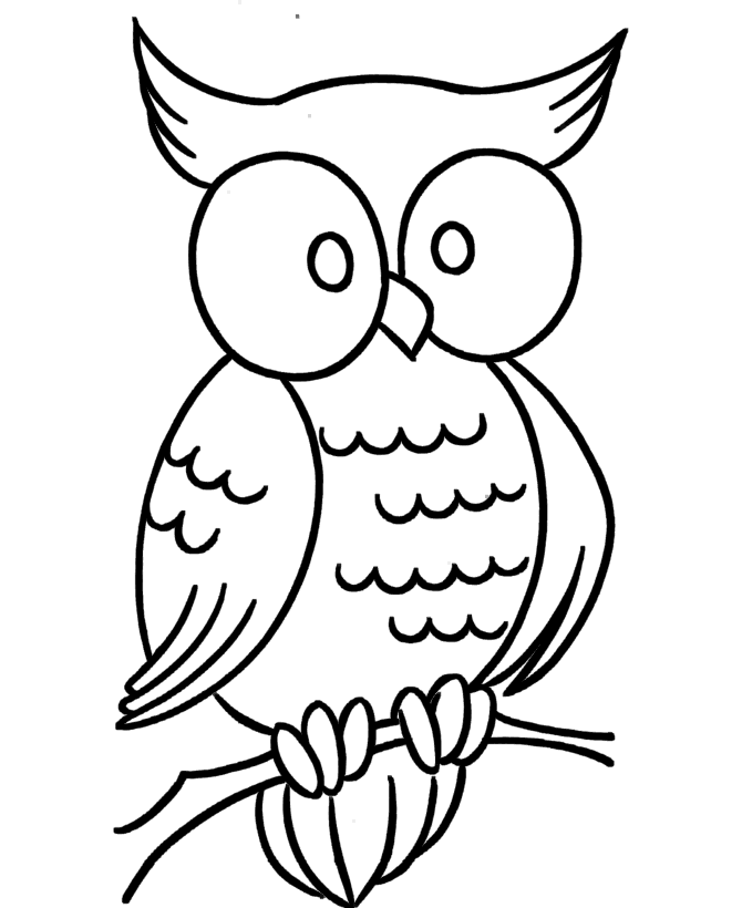 Owl Coloring Pages | Coloring page | #27