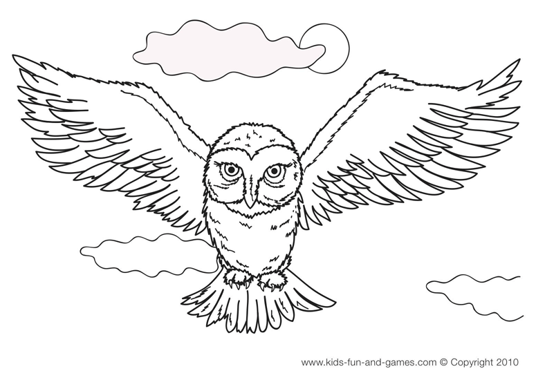 Owl Coloring Pages | Coloring page | #30