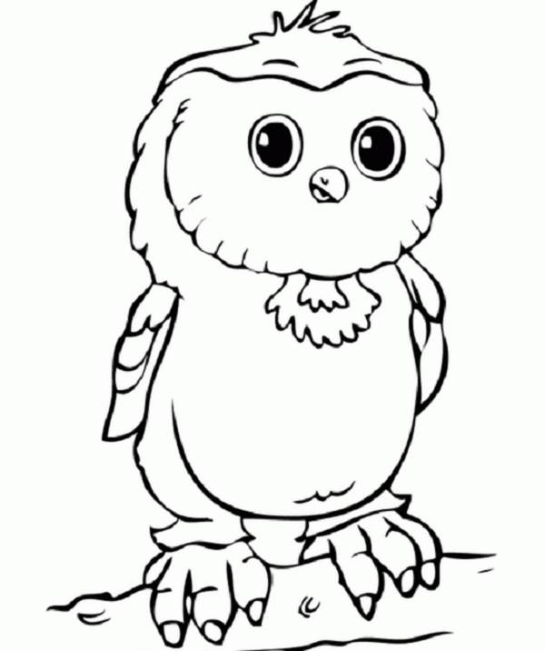  Owl Coloring Pages | Coloring page | #33