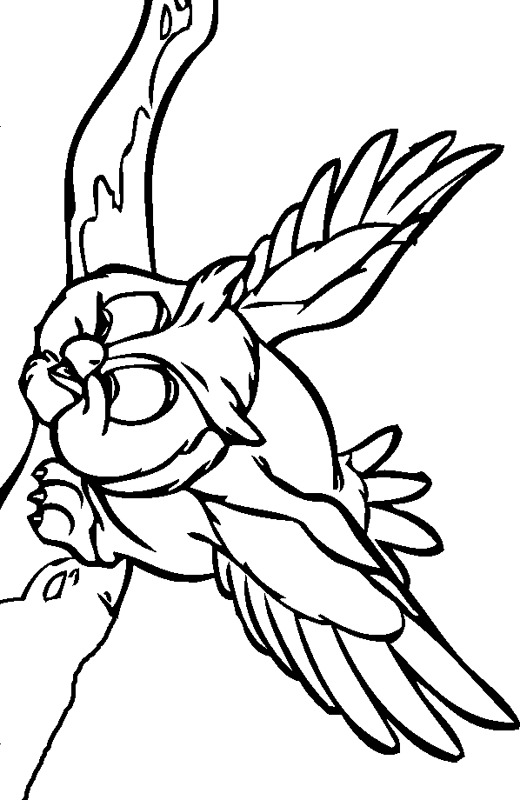 Owl Coloring Pages | Coloring page | #34