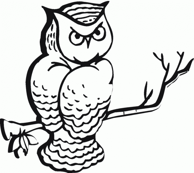 Owl Coloring Pages | Coloring page | #37