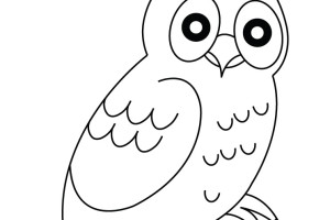 Owl Coloring Pages | Coloring page | #39