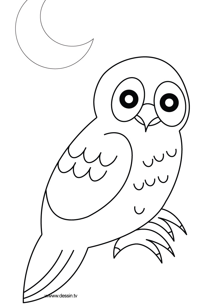  Owl Coloring Pages | Coloring page | #39
