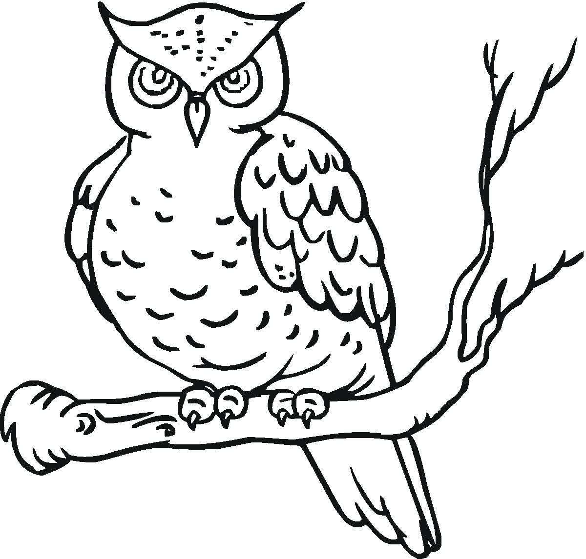 Owl Coloring Pages | Coloring page | #5
