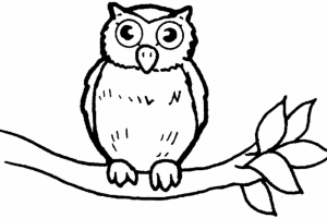 Owl Coloring Pages | Coloring page | #6