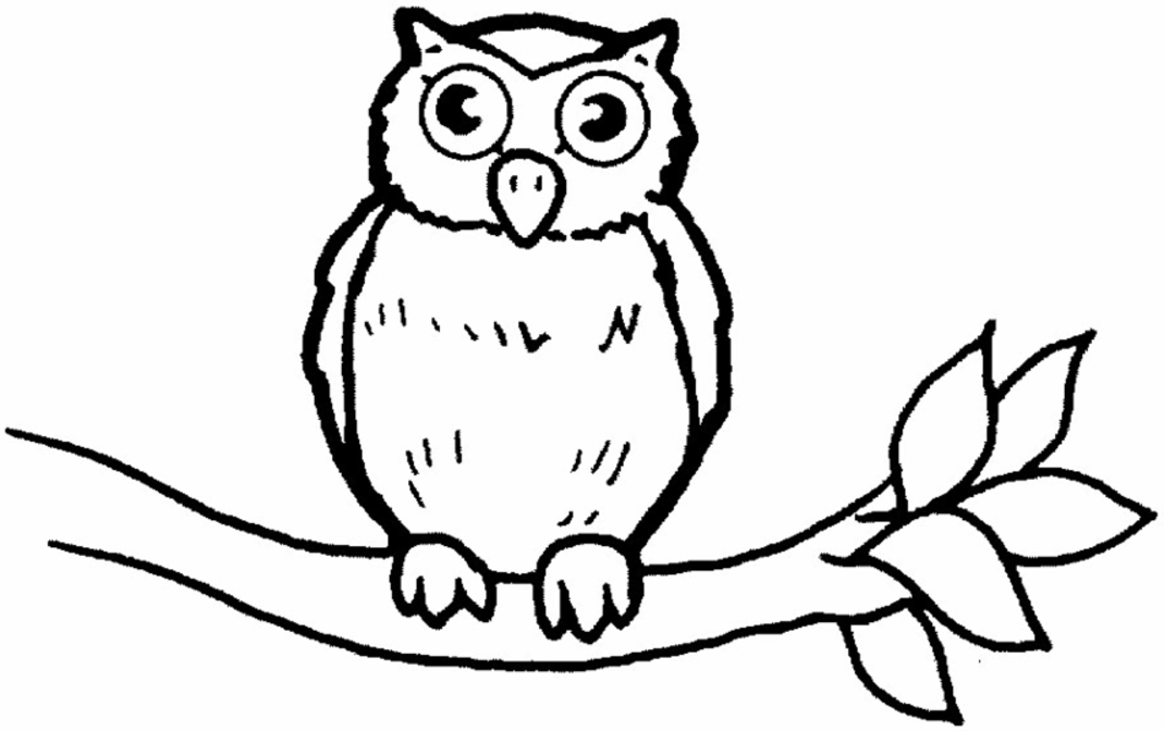  Owl Coloring Pages | Coloring page | #6