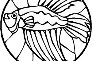 Fish Stained Glass Coloring pages