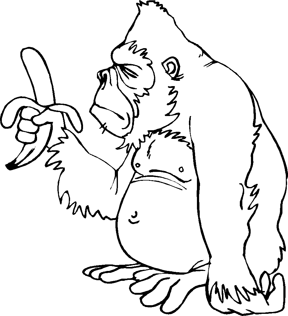 Monkey coloring pages | Monkey coloring page | #13
