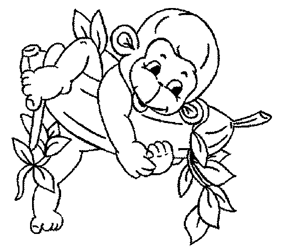 Monkey coloring pages | Monkey coloring page | #20