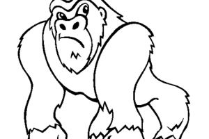 Monkey coloring pages | Monkey coloring page | #24