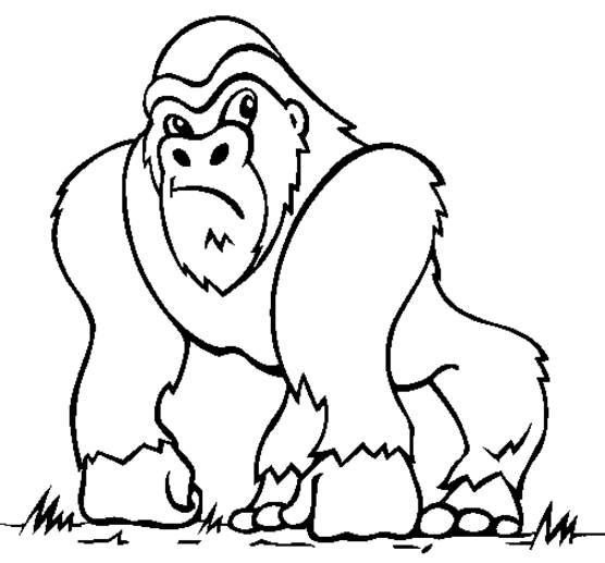  Monkey coloring pages | Monkey coloring page | #24