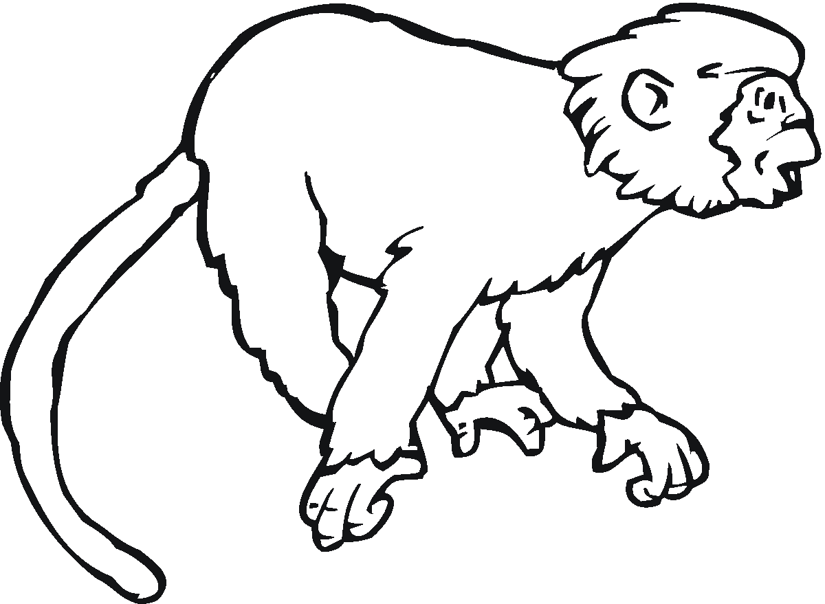 Monkey coloring pages | Monkey coloring page | #32