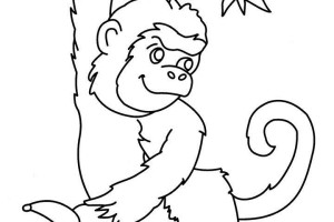 Monkey coloring pages | Monkey coloring page | #39
