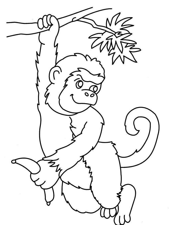  Monkey coloring pages | Monkey coloring page | #39