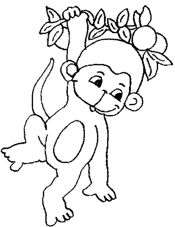 Monkey coloring pages | Monkey coloring page | #4