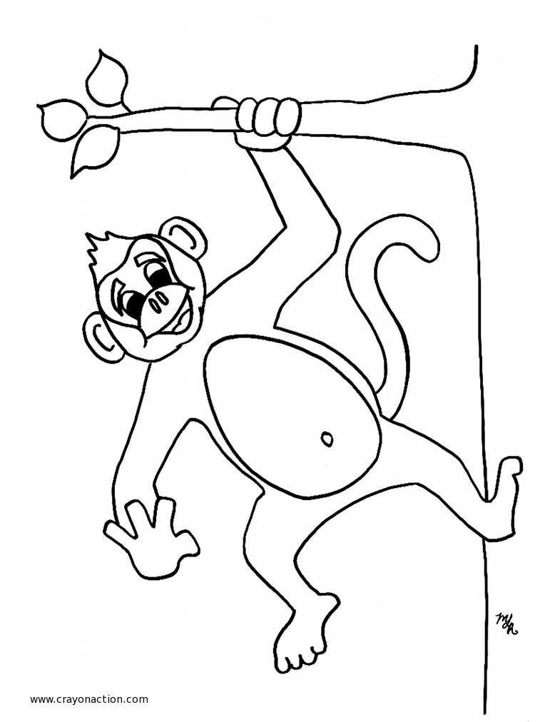  Monkey coloring pages | Monkey coloring page | #7